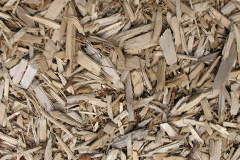 biomass boilers Pengorffwysfa